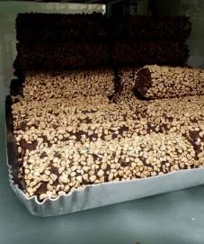 Bûche Glacée